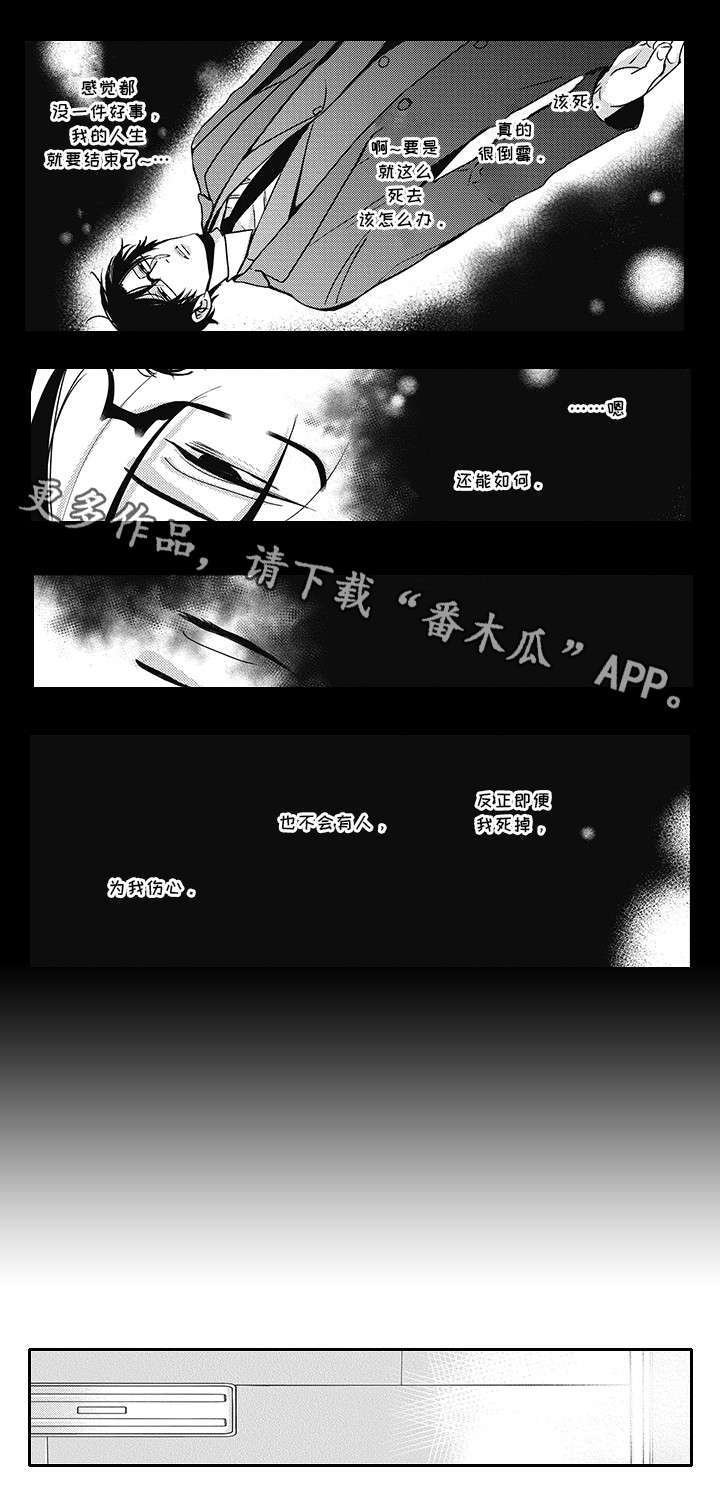 第39章：欺诈犯