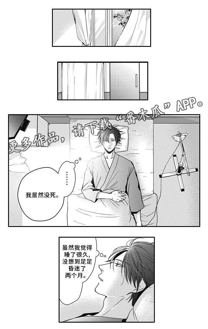 第39章：欺诈犯