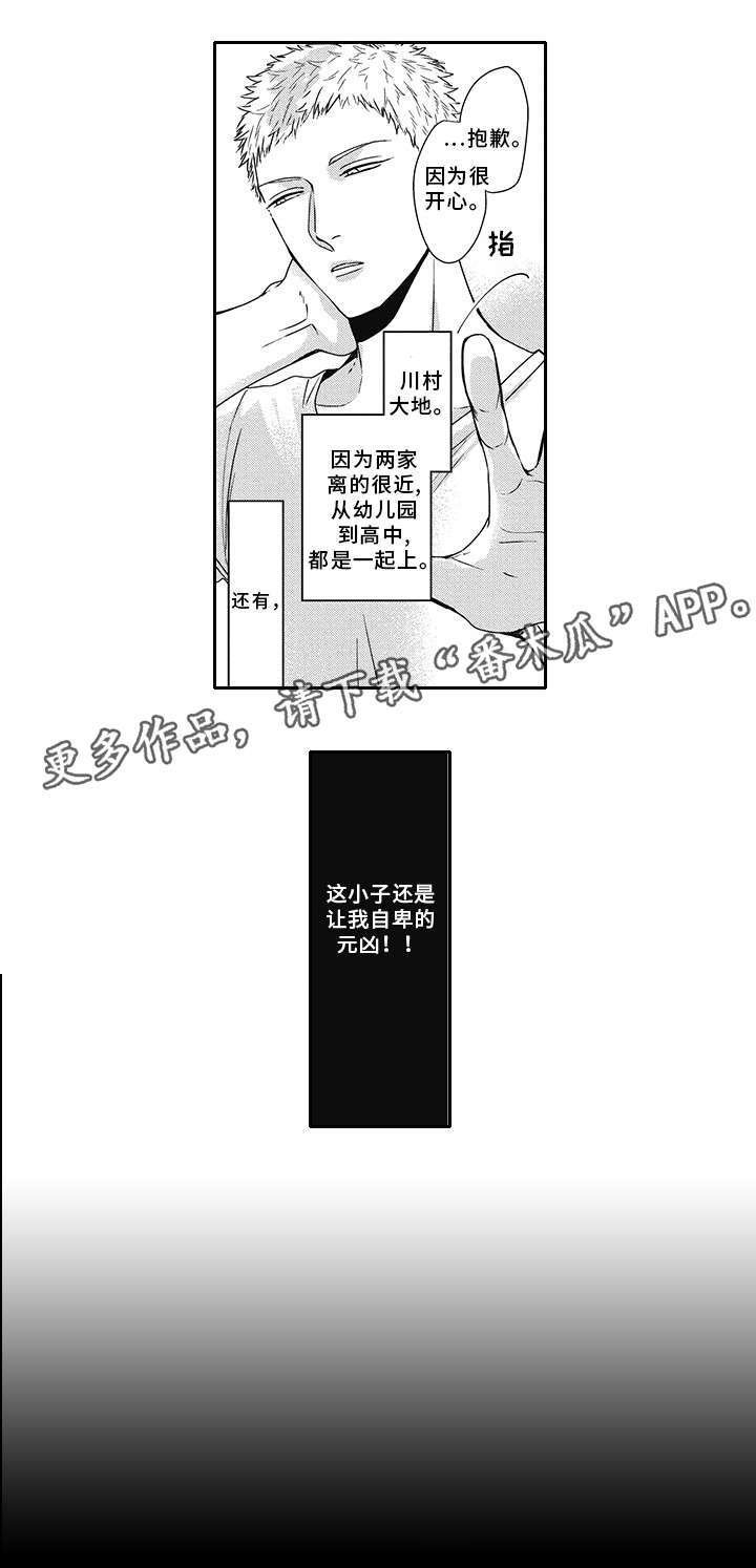 第39章：欺诈犯