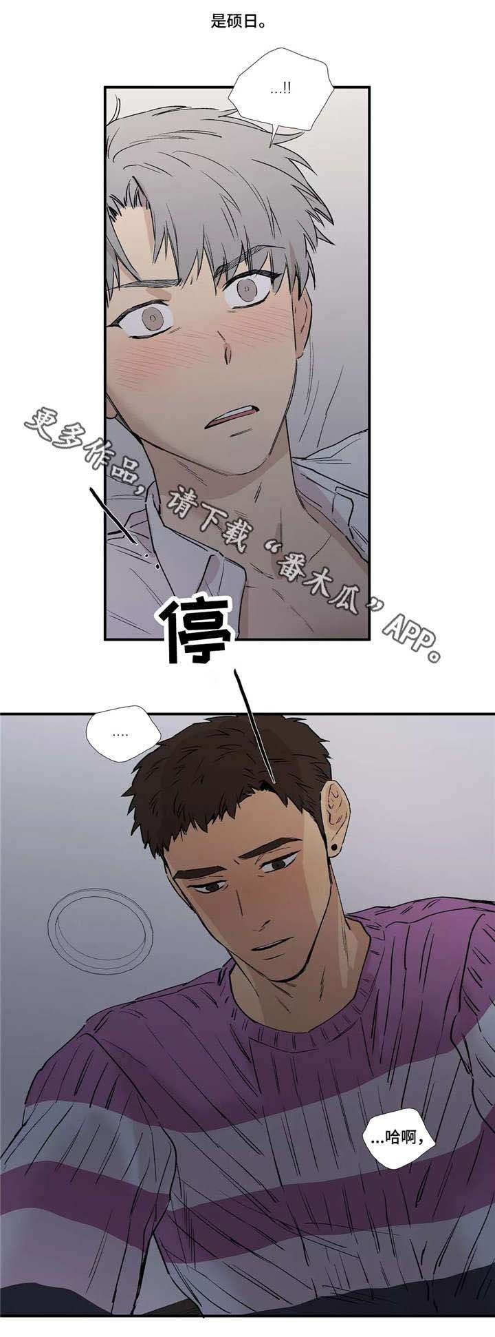 第17章：不要折磨我