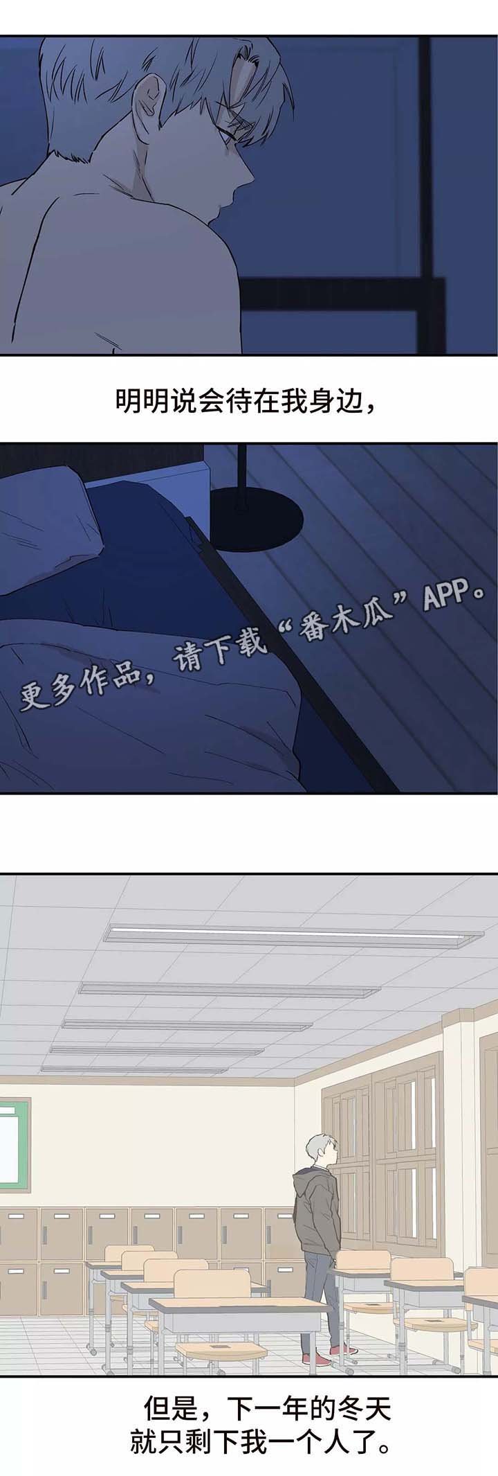 第28章：看雪