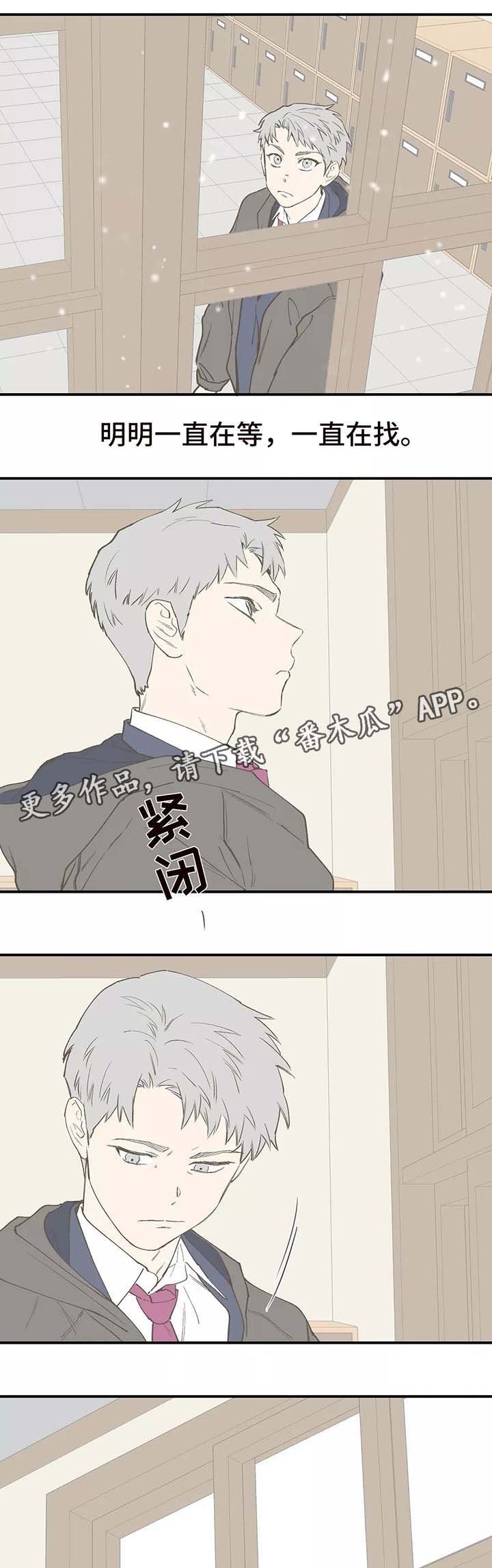 第28章：看雪
