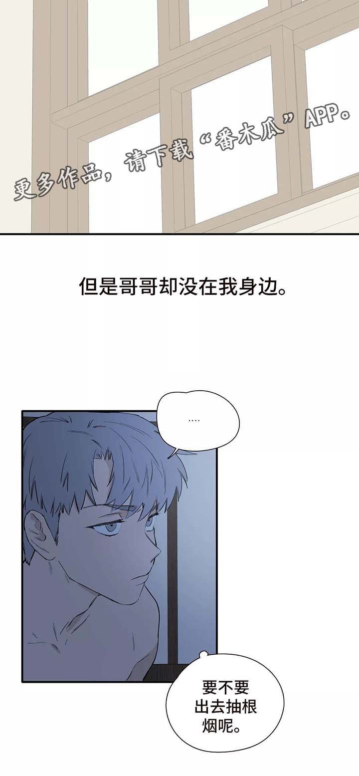 第28章：看雪