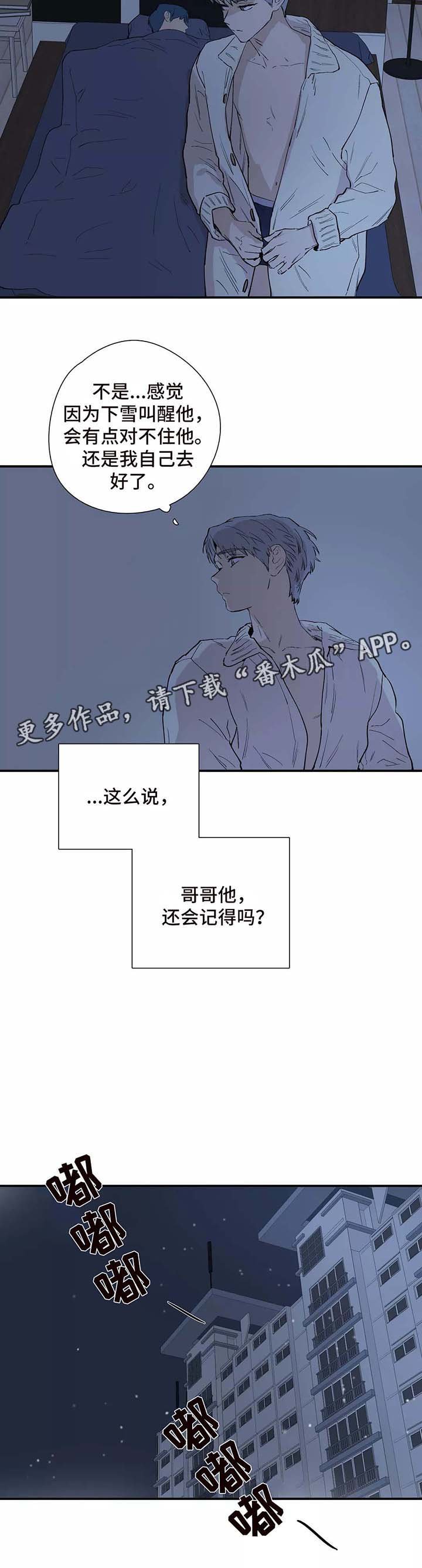 第28章：看雪