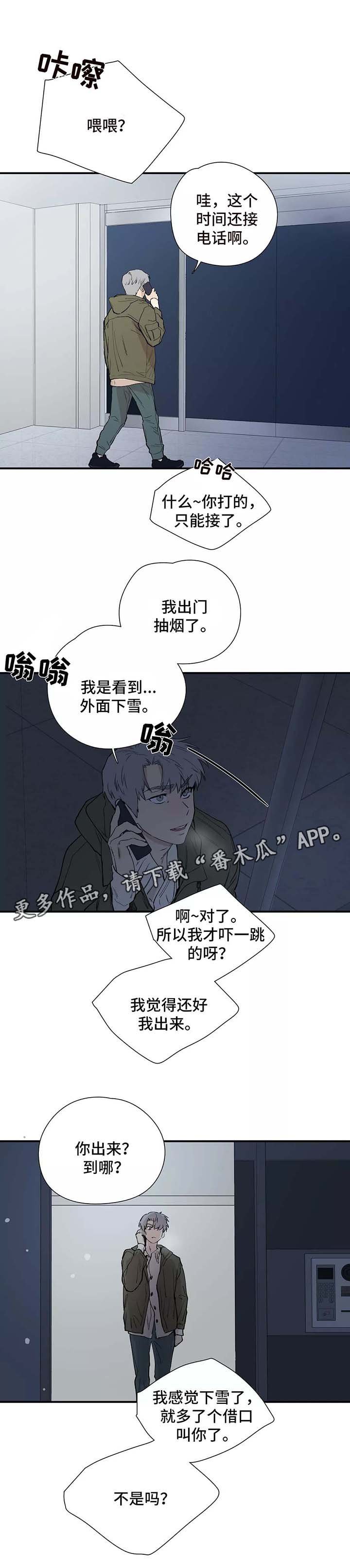 第28章：看雪