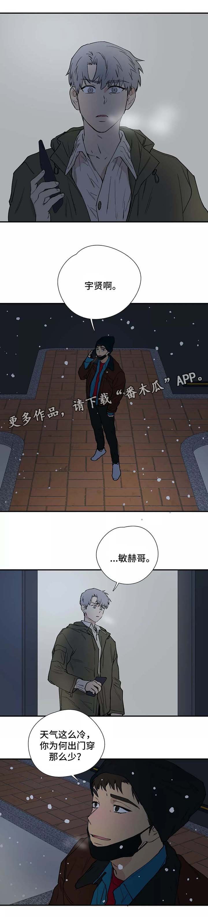第28章：看雪