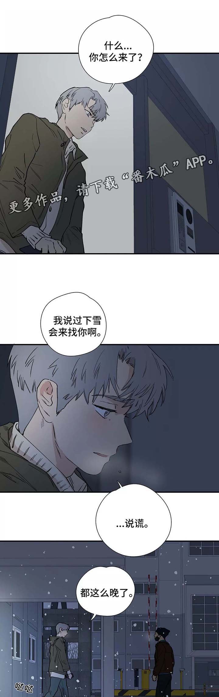 第28章：看雪