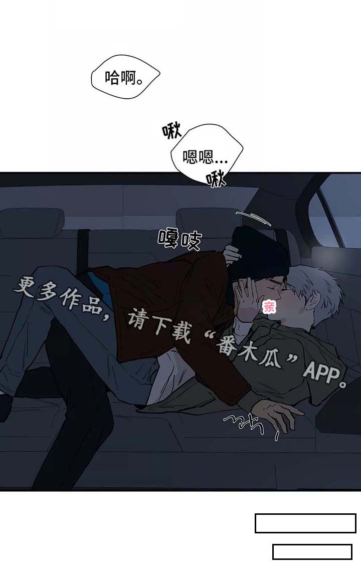 第28章：看雪