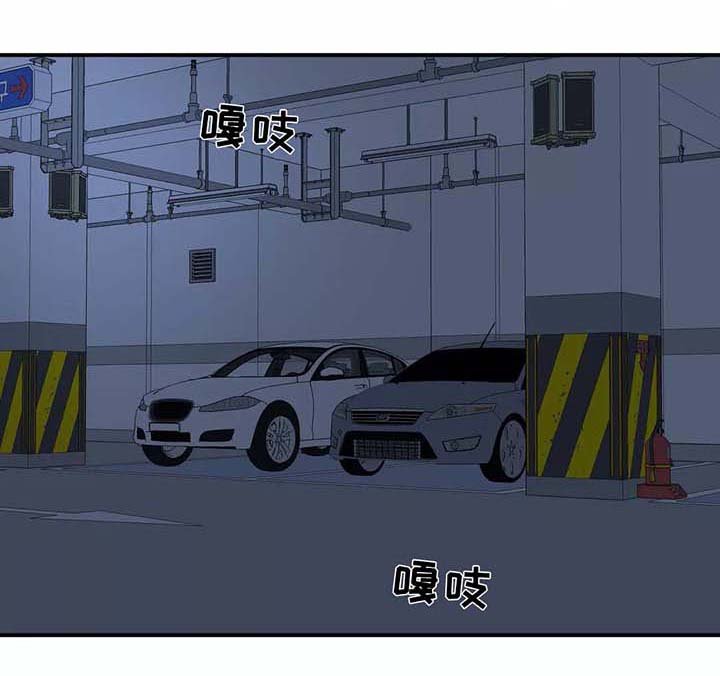 第28章：看雪