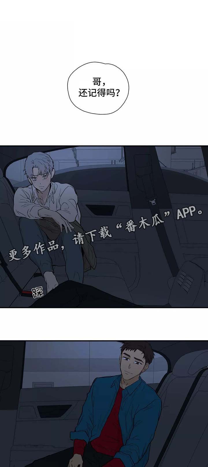 第28章：看雪