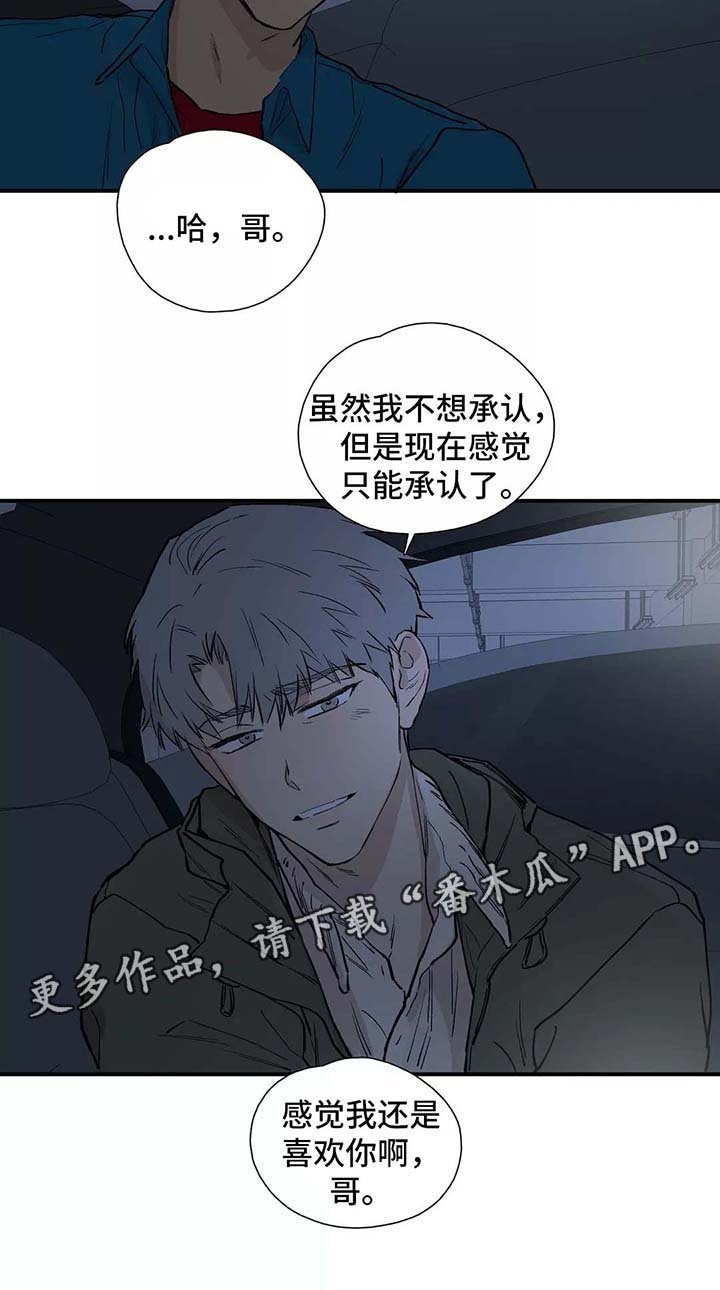 第28章：看雪