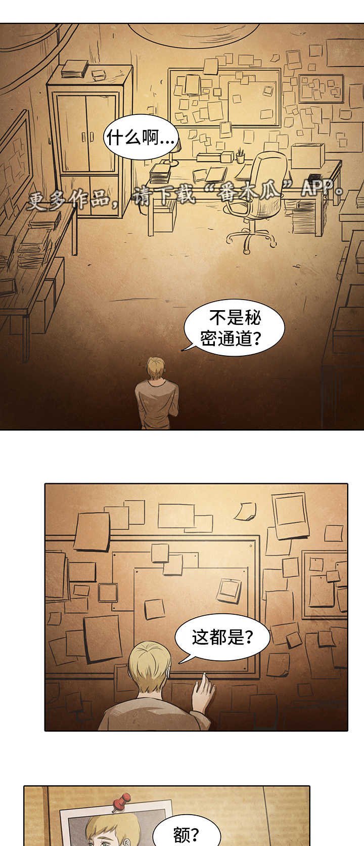 第13章：调查