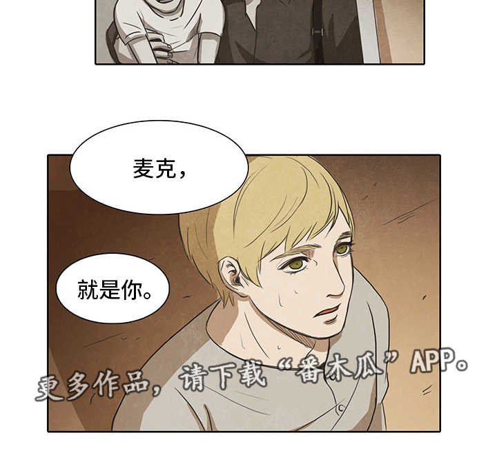 第16章：摆布