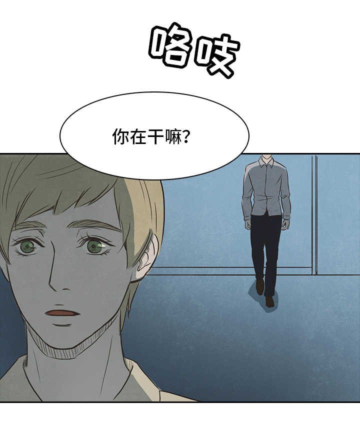 第20章：调查