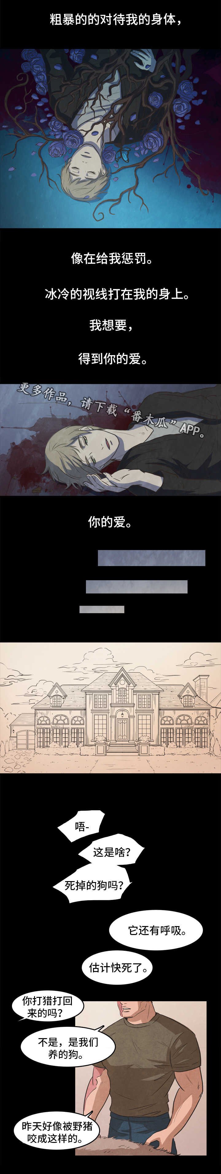 第25章：爱情