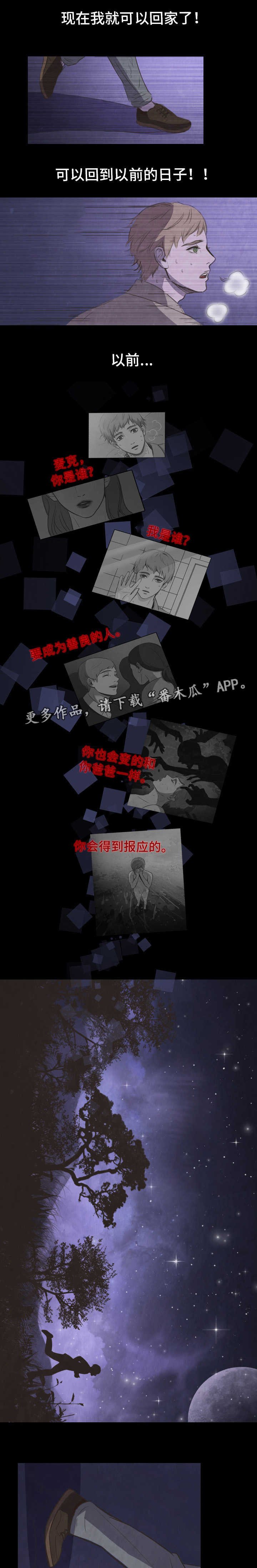 第29章：选择