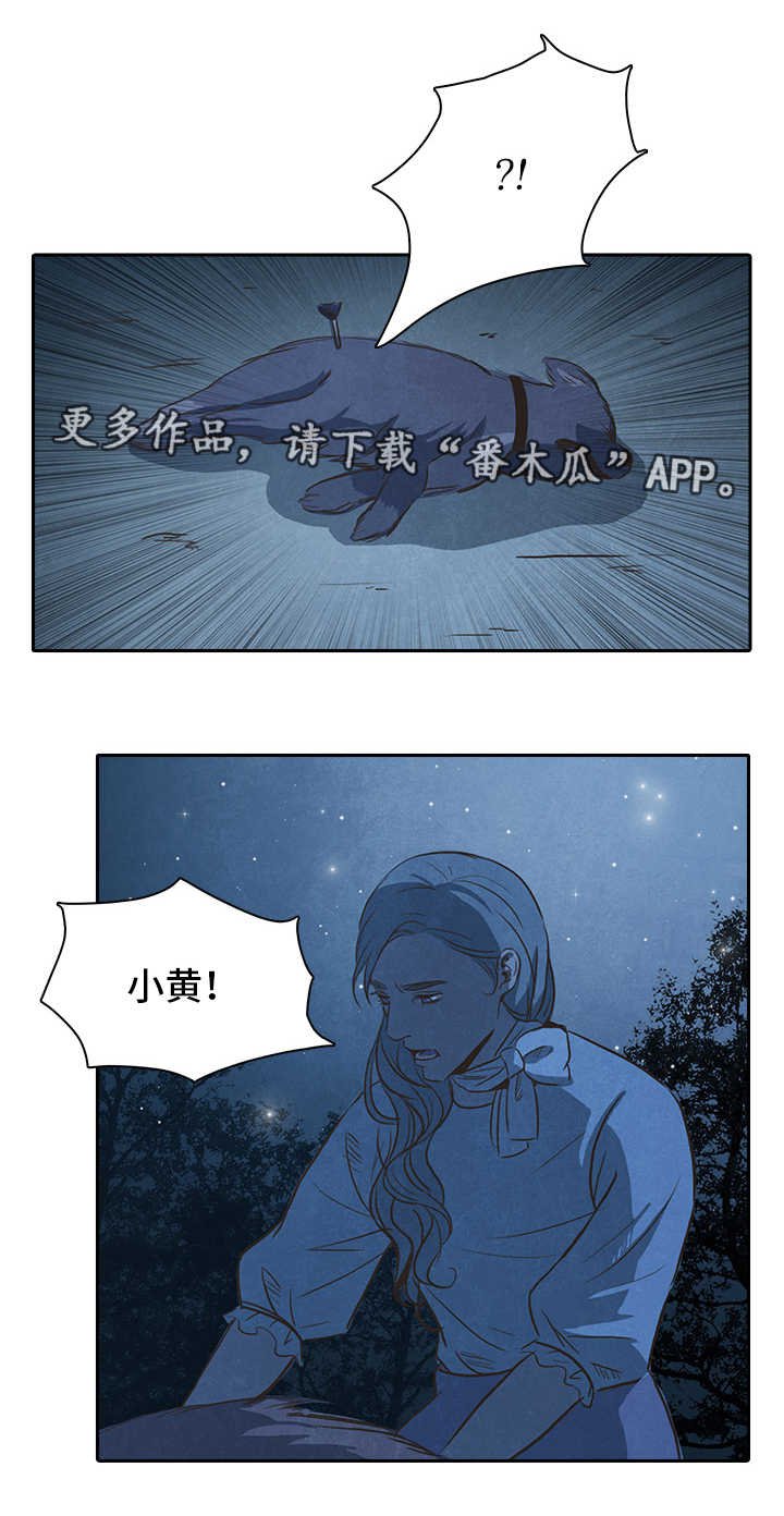 第37章：成功