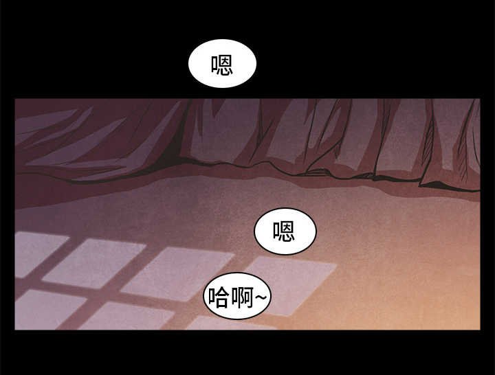 第39章：保护