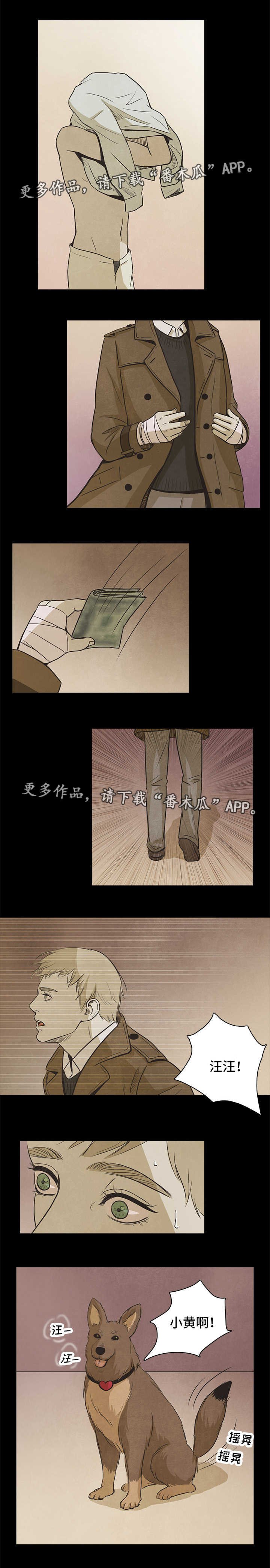 第47章：终章
