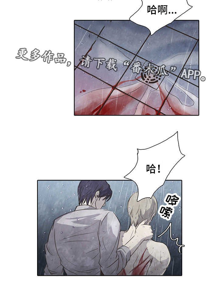 第6章：伪善