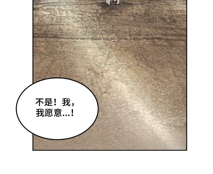 第135章：【番外】我愿意