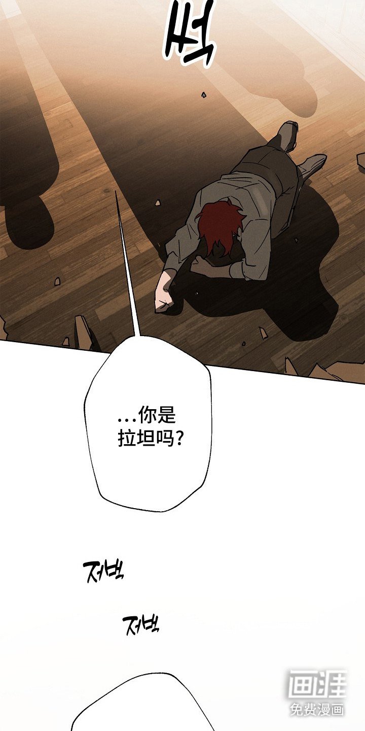 第1章：禁忌研究