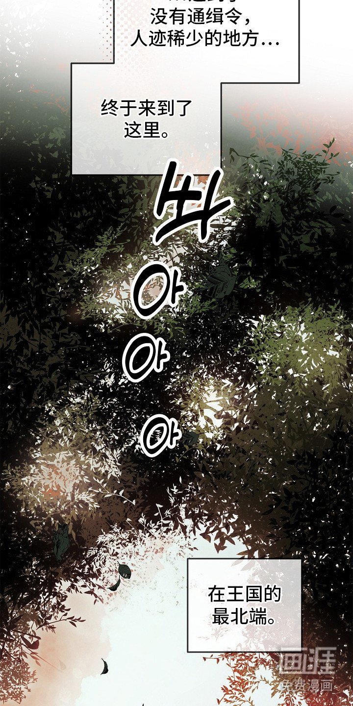 第1章：禁忌研究