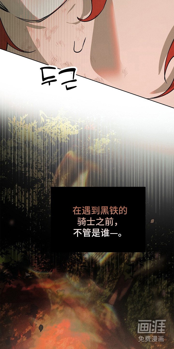 第2章：黑铁骑士