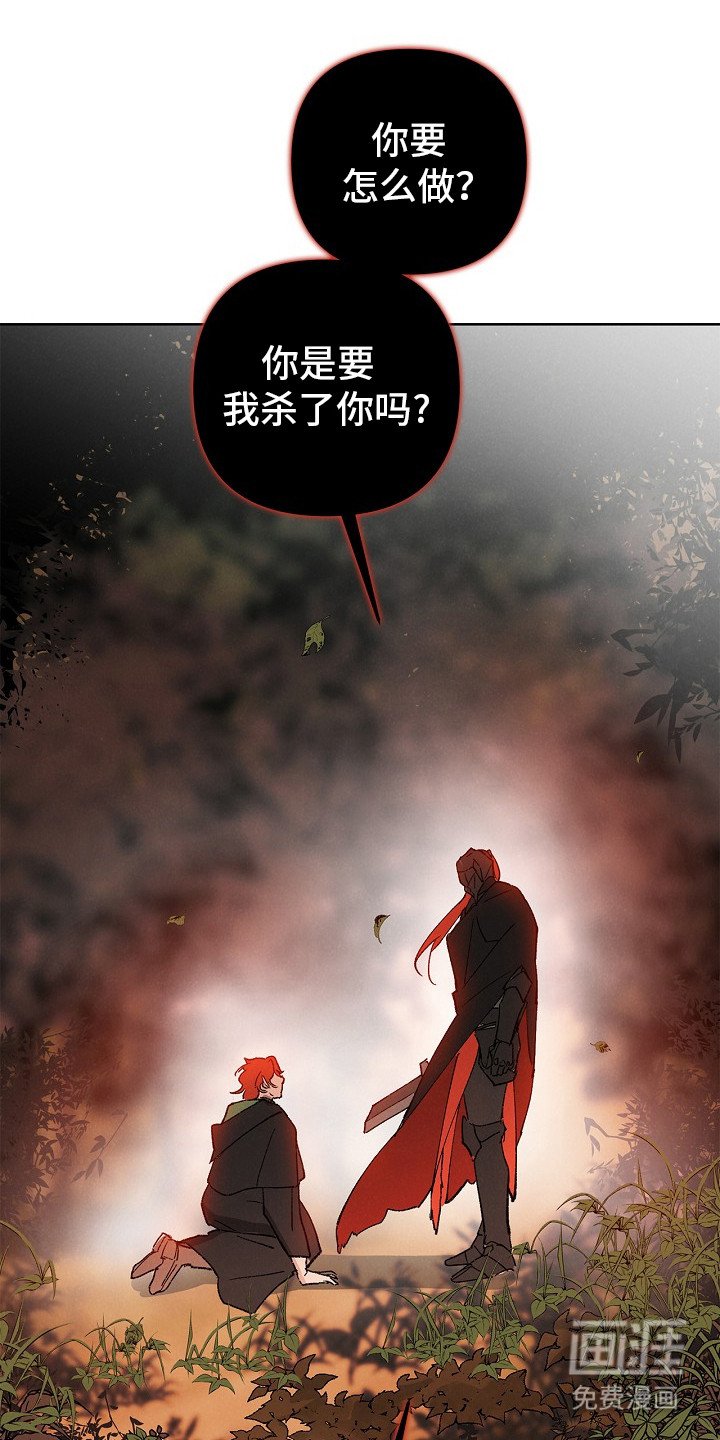 第2章：黑铁骑士