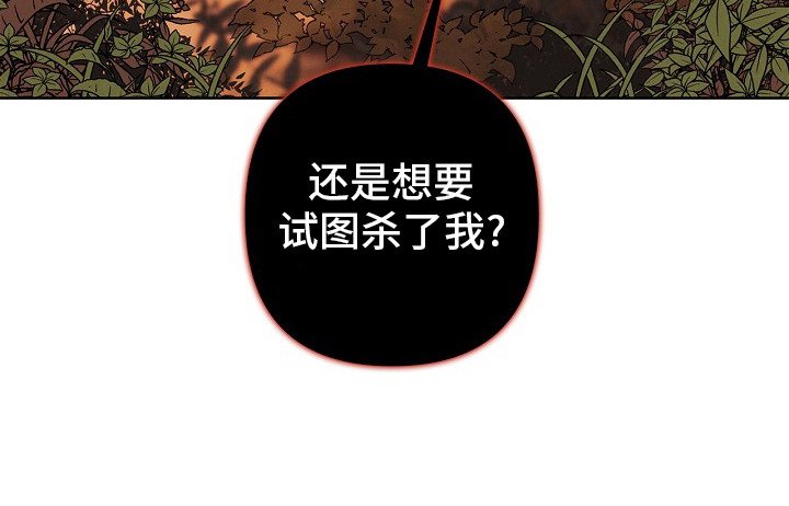 第2章：黑铁骑士