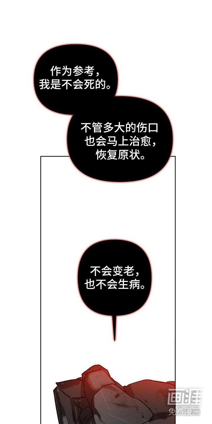第3章：提议