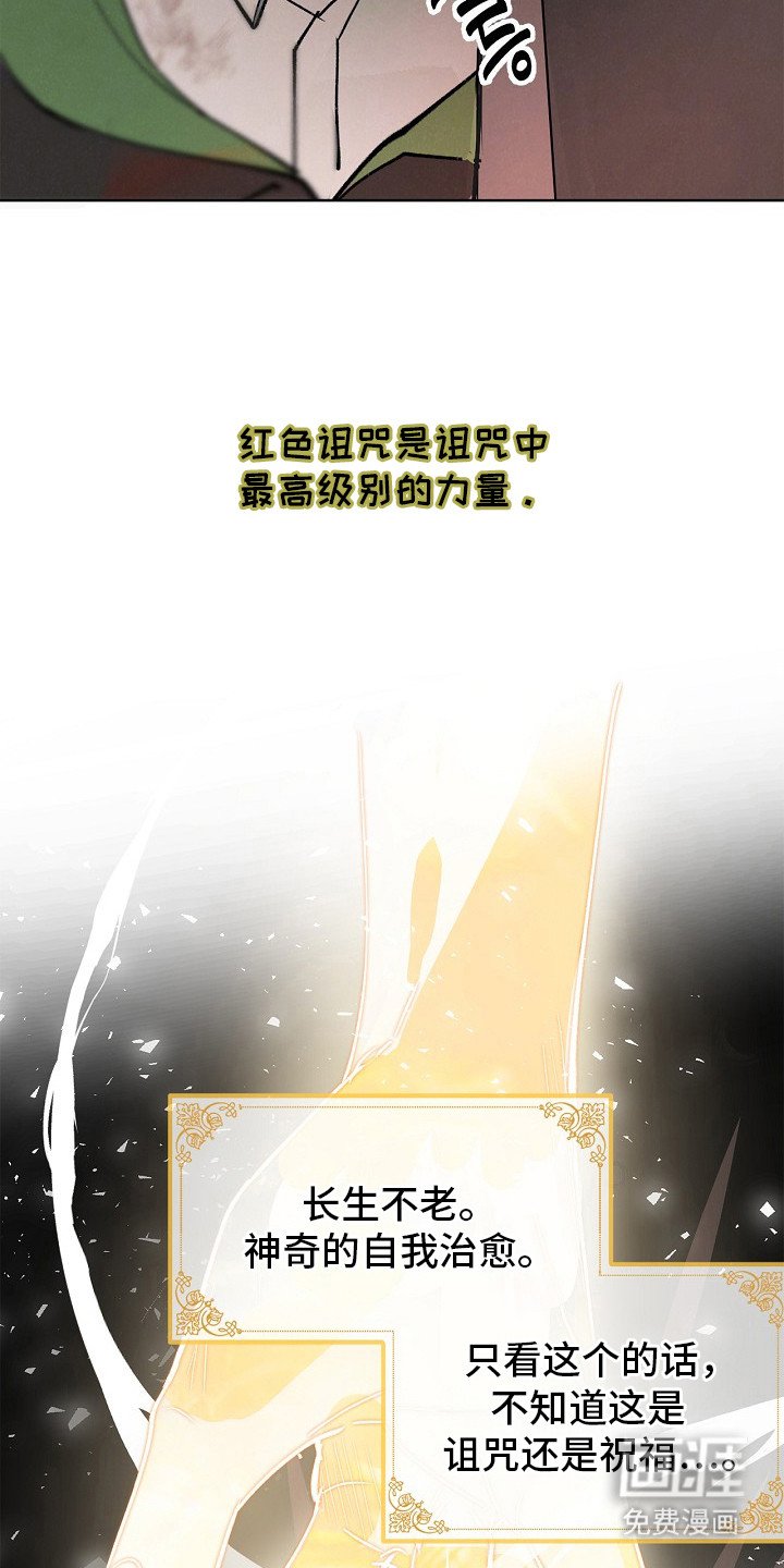 第3章：提议
