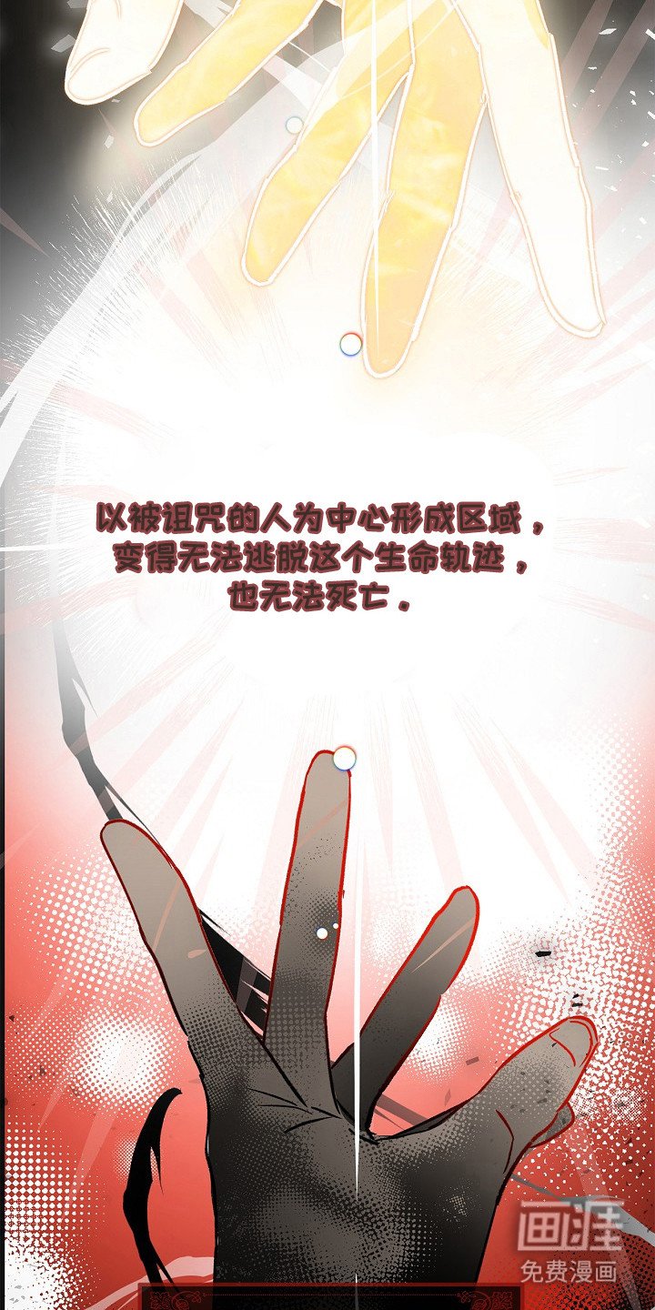 第3章：提议