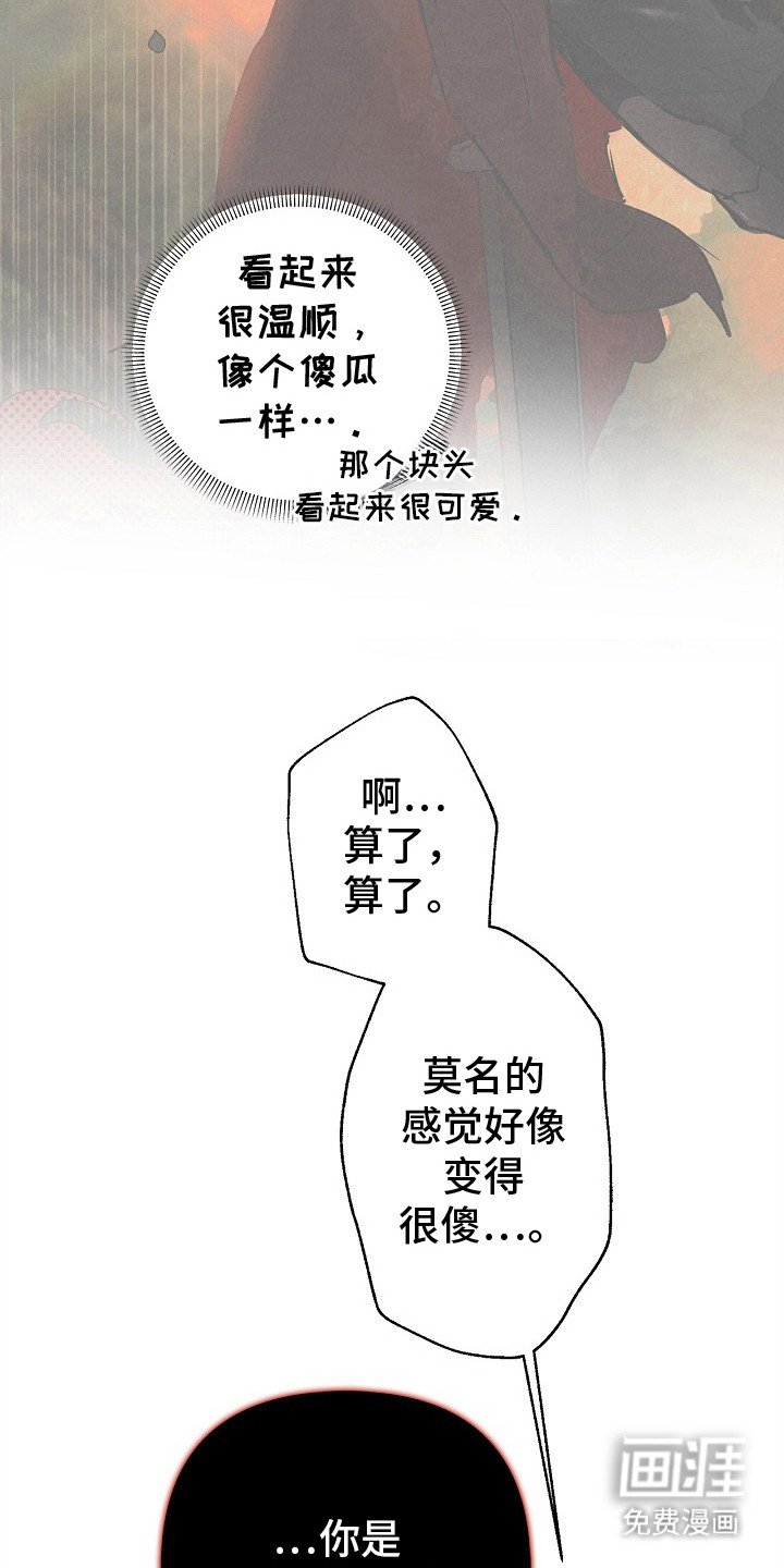第5章：流血了