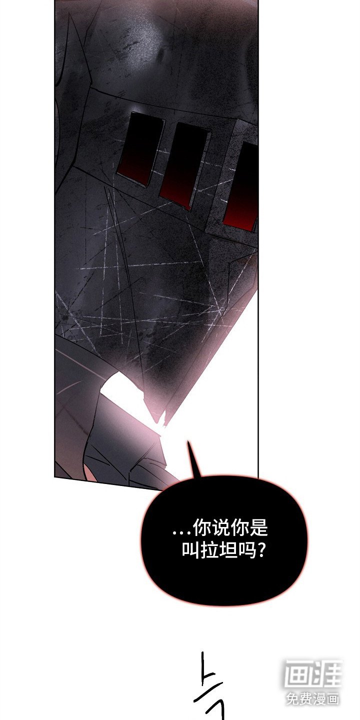 第6章：头盔下的模样