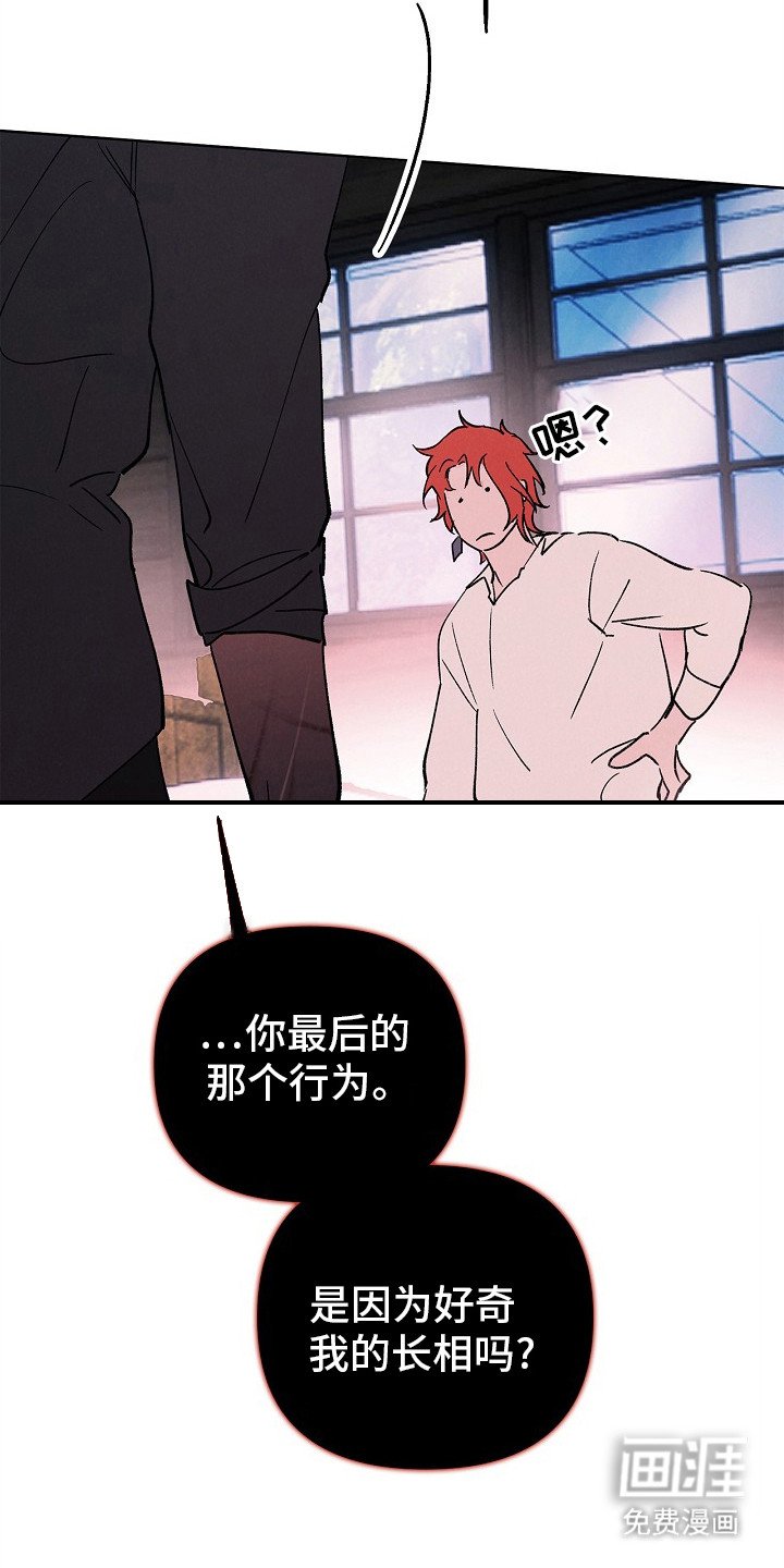 第6章：头盔下的模样