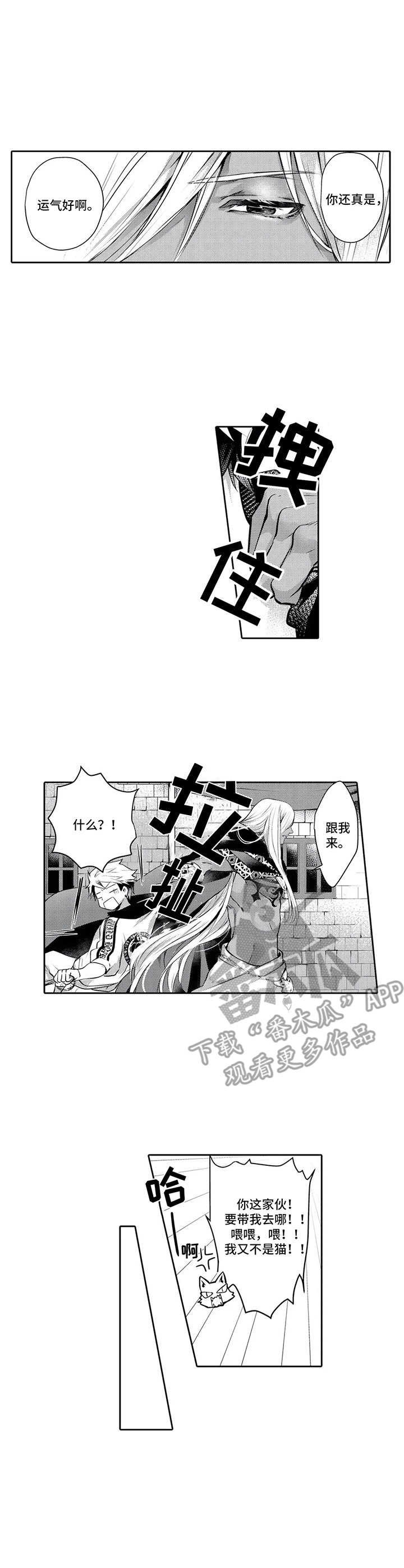 第13章：王族