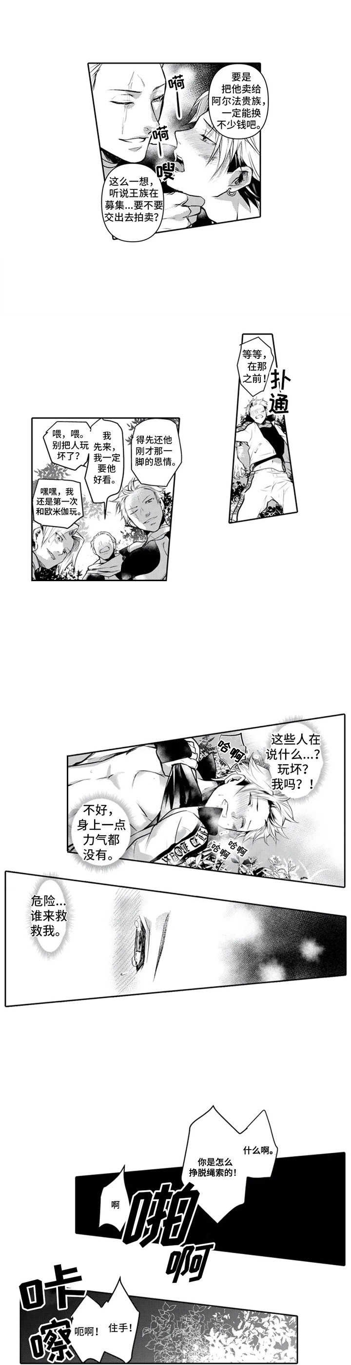 第3章：命中伴侣