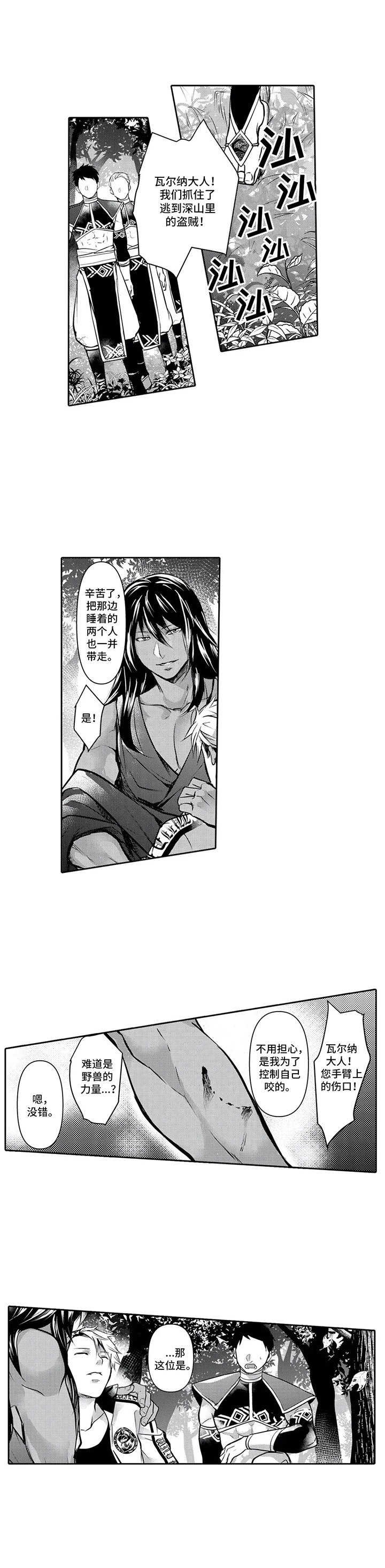 第3章：命中伴侣