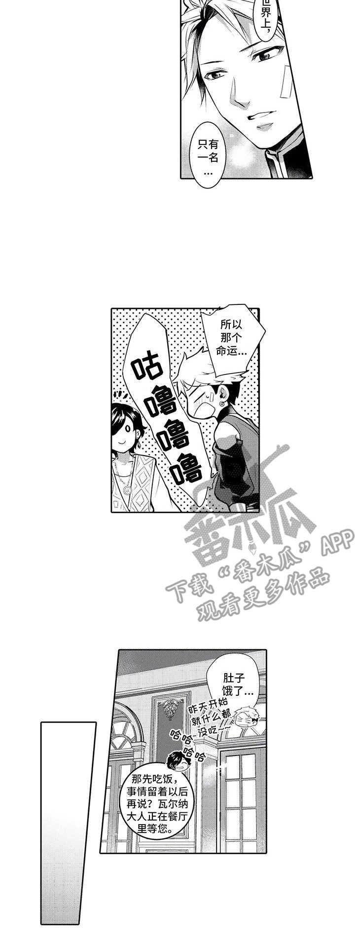第6章：散步