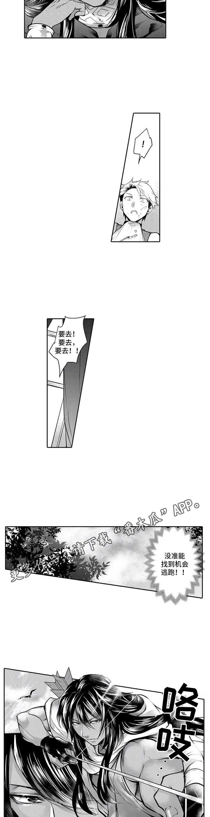 第6章：散步