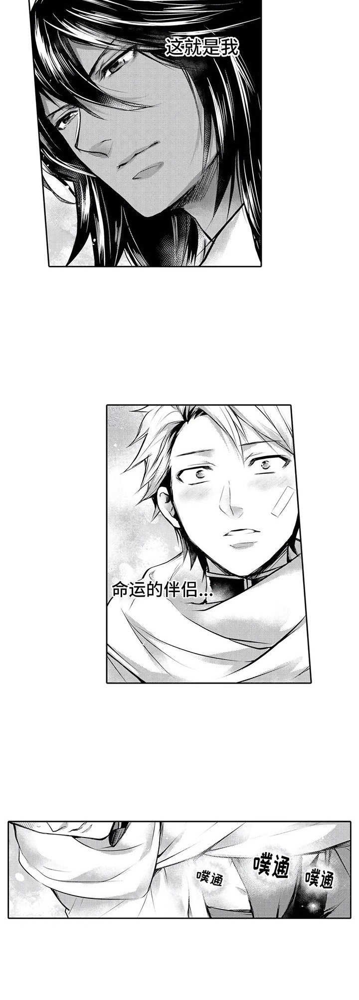 第6章：散步