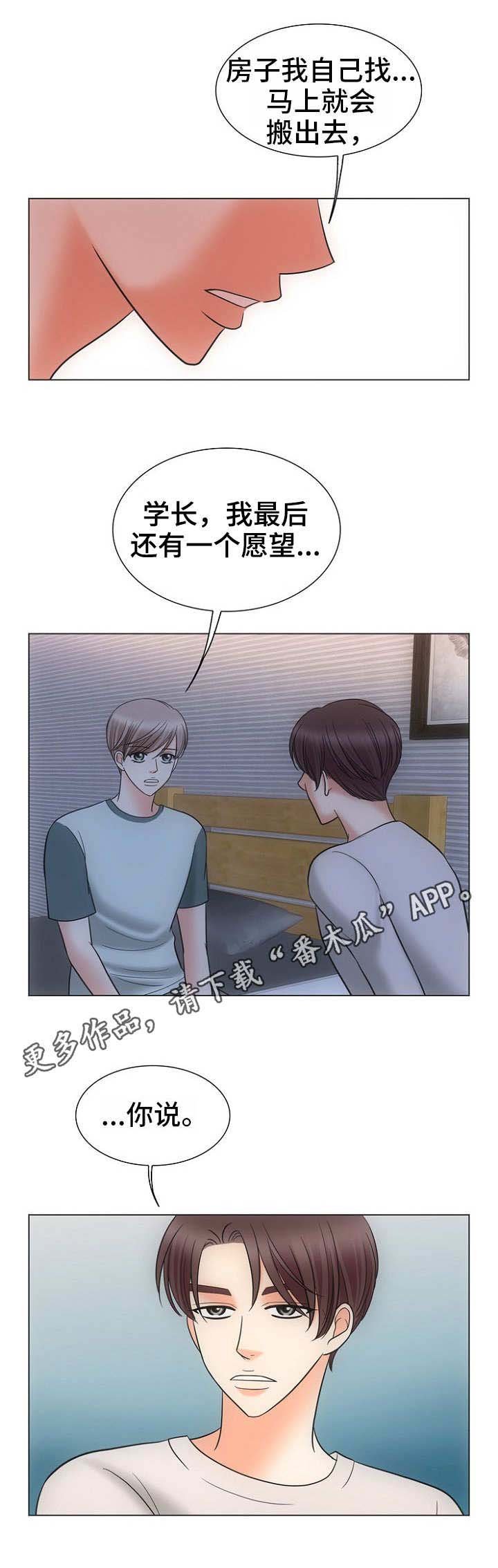 第15章：替代品