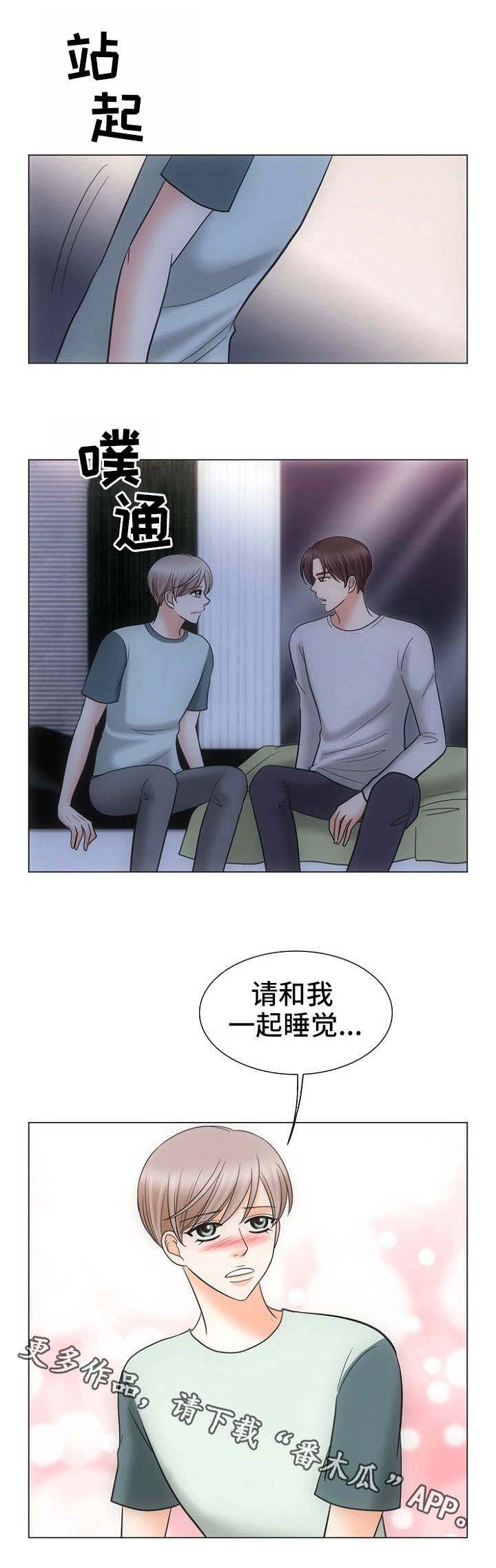 第15章：替代品