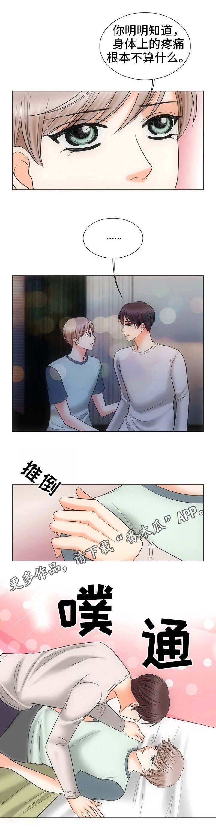 第15章：替代品