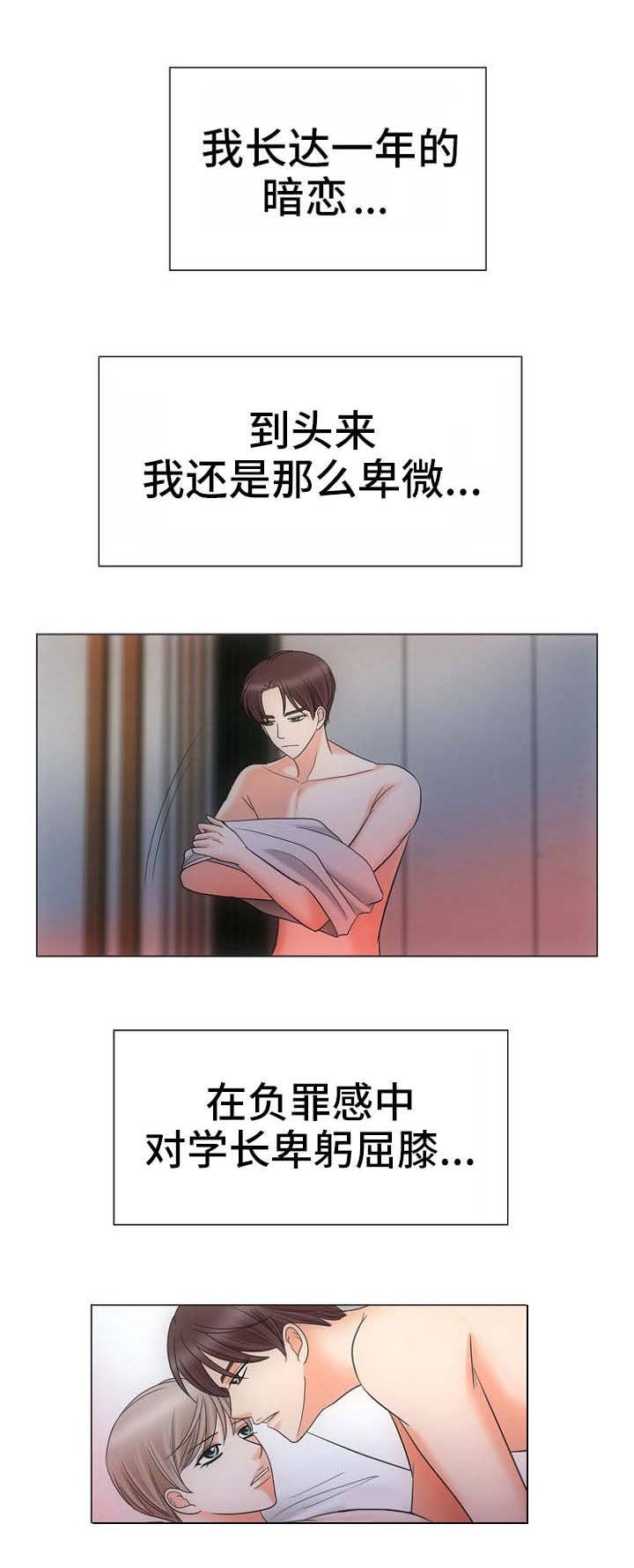 第15章：替代品