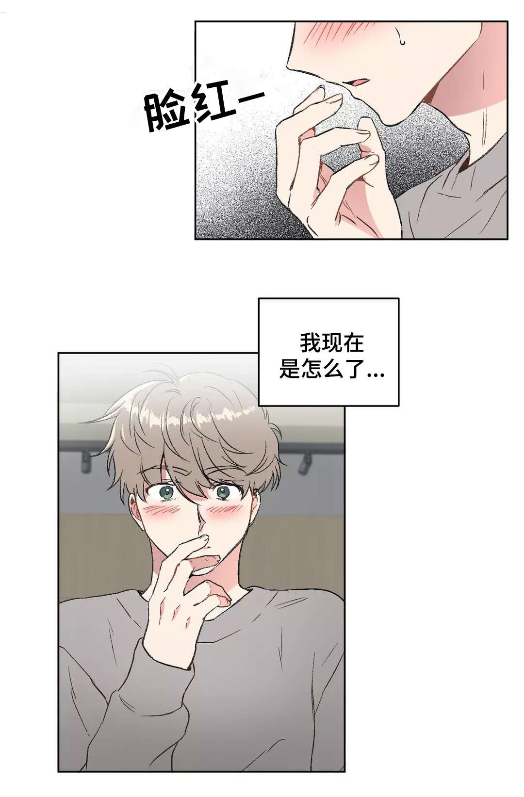 第19章：分组