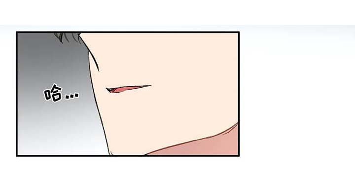 第31章：放鸽子