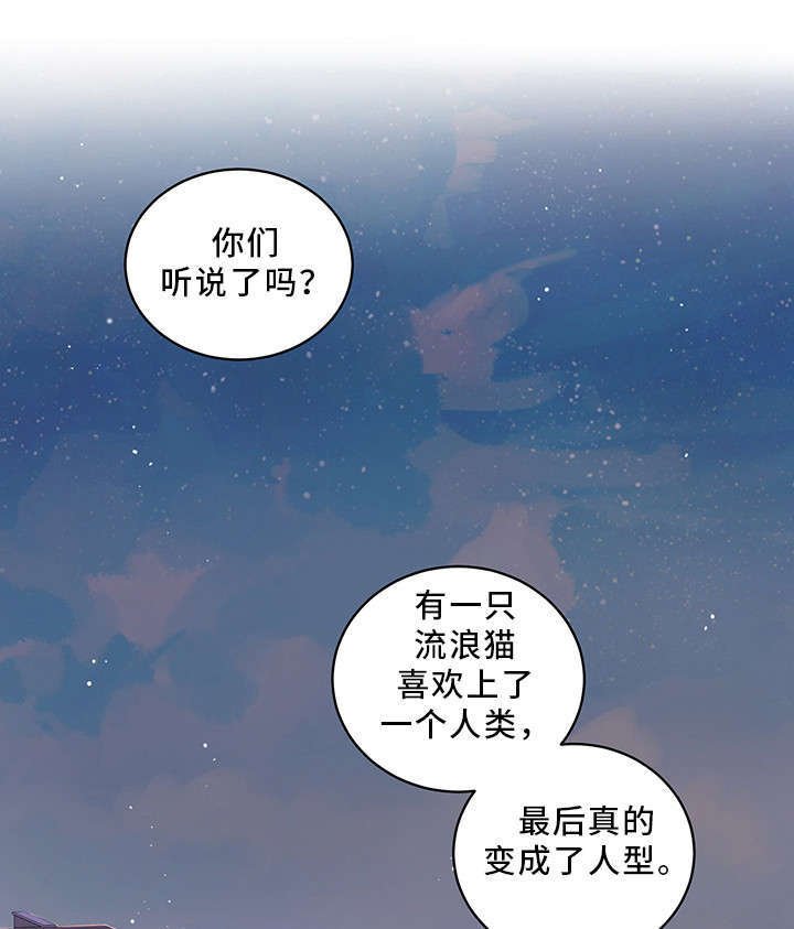 第1章：传说