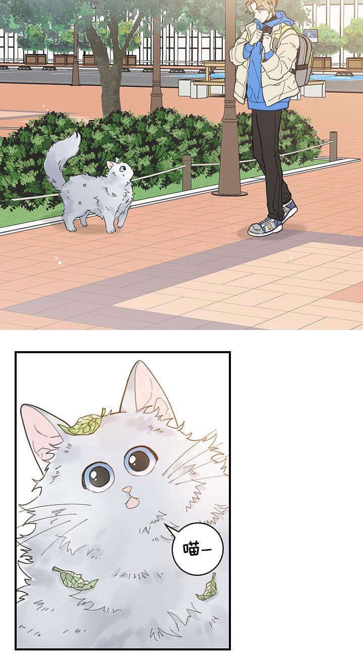 第1章：传说